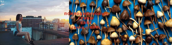 дмт Осташков
