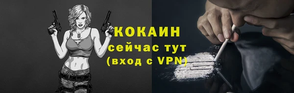 дмт Осташков