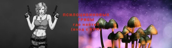 дмт Осташков
