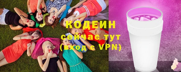 дмт Осташков