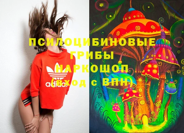 дмт Осташков
