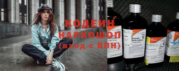 Альфа ПВП Осинники