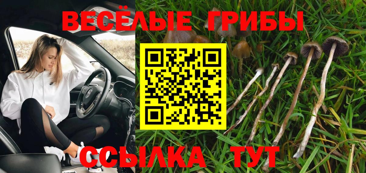 Галлюциногенные грибы MAGIC MUSHROOMS Сокол
