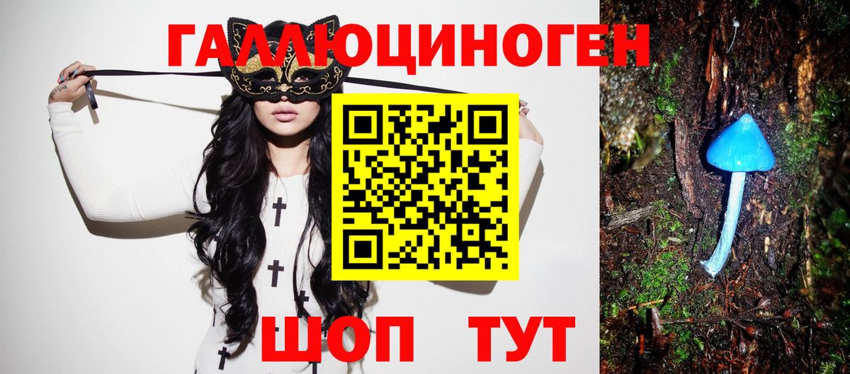 Сокол  Псилоцибиновые грибы Psilocybine cubensis  Вход с VPN  Псилоцибиновые грибы MAGIC MUSHROOMS 